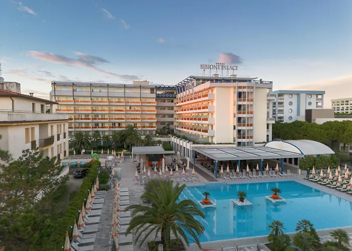 Palace 4* ביביונה