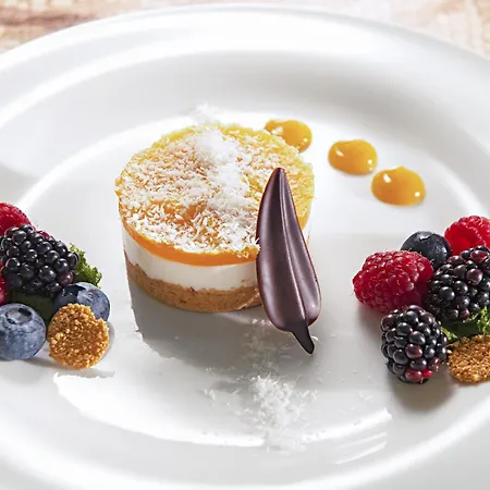 Palace 4* 비비오네